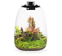 Bioloark QD205 Bio Bottle 21,7x26h Terrario LED con Aerazione