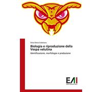 Biologia e riproduzione della Vespa velutina: Identificazione, morfologia e predazione