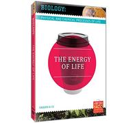 Biology Basics: Energy of Life