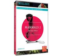 Biology Classification: Mammals 2