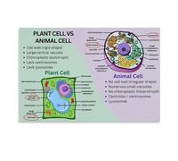Biology Poster Animal Plant Cell Science Art Educational Canvas Print for Classroom Decor Office Wall Art Bedroom Decor Homeschool Learning Tool(Unframed,16x24inch(40x60cm))