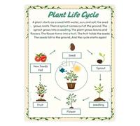 Biology Poster Plant Life Cycle Educational Science Chart for Classroom Home Office School Learning Decor(Framed,16x24inch(40x60cm))