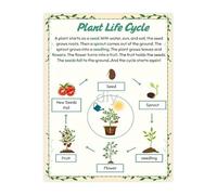 Biology Science Chart Plant Life Cycle Educational Poster for School Teaching Home Learning Decor (Framed,12x18inch(30x45cm))