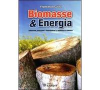 Biomasse & energia. Conoscere, scegliere e trasformare le biomasse in energia