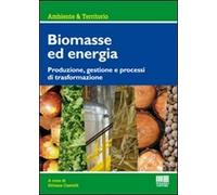 Biomasse per la produzione di energia. Produzione, gestione e processi di trasformazione
