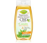 Bione Cosmetics Cannabis CBD shampoo rigenerante con CBD 260 ml