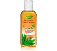 Bione Cosmetics Cannabis shampoo rigenerante 80 ml