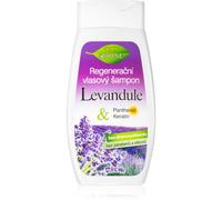 Bione Cosmetics Lavender shampoo rigenerante per tutti i tipi di capelli 260 ml