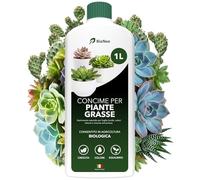 BioNee Concime Biologico per Piante Grasse 1L - Nutrimento Naturale per Cactus e Succulente | Favorisce Colori Intensi, Foglie Lucide e Crescita Armoniosa