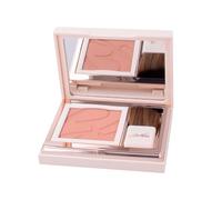 DEFENCE COLOR PRETTY TOUCH FARD COMPATTO 302 PECHE