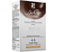 Bionike Shine On Trattamento colorante capelli 4.3 Castano Dorato