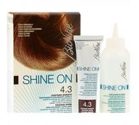 Bionike Shine-On - Trattamento colorante capelli - castano dorato 4.3