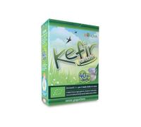 Bionova Kefir fai da Te Fermenti Bio, 4 x 5g