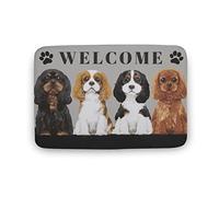 Bioonce Zerbini di benvenuto Cavalier King Charles Spaniel per ingresso interno esterno zerbino ingresso tappetini cucina bagno ingresso tappeti 45,7 x 76,2 cm