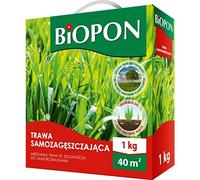BioPon Lawn Seed 1 kg versatile - Semi di erba resistenti al calpestio - 1 kg di semi per 40 m² prato - Semina efficiente per un bel giardino