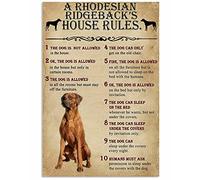 Biopracess A Rhodesian Ridgeback'S House Rules Wall D¡§|Cor Art for Dog Owner Wall Decor Poster Garage Wall Decor Metal Sign 20x30,5 cm
