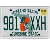 Biopracess Florida Jumbo Old Style Licence Plate United States America Targa targa targa 15,2x30,5 cm