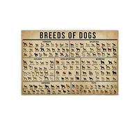 Biopracess Poster con tutte le razze di cani di ogni tipo, ottimo regalo per i tuoi boccioli, decorazione da parete, poster in metallo, 20,3 x 30,5 cm