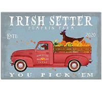 Bioprocess Cartello in latta con scritta "Irish Setter Dog Zucca Farm Vintage Look Vintage Bar Cafe Targa in metallo Vintage 20 x 30 cm