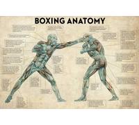 Bioprocess Poster con anatomia della boxe, decorazione per la casa, idea regalo per amanti della boxe, regalo per amanti della palestra, boxe, decorazione per la casa, stile vintage, poster in