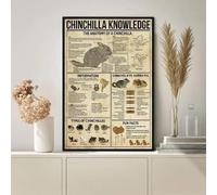 Bioprocess Poster con cincillà, cincillà, cincillà, cincillà, cincillà, cincillà, cincillà, cincillà, L, regalo decorativo poster da parete in metallo, 30,5 x 20,3 cm