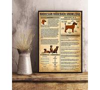 Bioprocess Targa da parete in metallo stile vintage con cane della conoscenza del Rhodesian Ridgeback, decorazione da parete in metallo, 20,3 x 30,5 cm