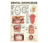 Bioprocess Targa in metallo con guida di riferimento per medici e studi dentistici, per la casa, ospedale, clinica, casa, decorazione da parete, poster in metallo, 20 x 30 cm