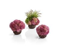 biOrb 73540 Set di sfere di corallo viola - piccoli coralli artificiali affondanti a forma di sfera come decorazione vegetale per acquario d'acqua salata e d'acqua dolce