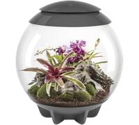 biOrb AIR 60 - Grigio