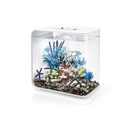 biOrb Flow 30 Acquario in acrilico, bianco, MCR multicolore, illuminazione a LED, elegante serbatoio da 30 litri con filtraggio in 5 fasi, facile da installare, include telecomando, pompa d'aria