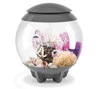 biOrb Halo, acquario in acrilico, 15 pezzi, grigio, con telecomando MCR multicolore, illuminazione a LED, serbatoio per pesci di alta qualità con linea d'acqua nascosta, filtraggio in 5 fasi