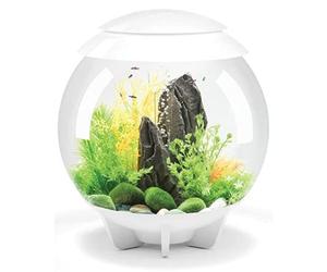biOrb Halo, acquario in acrilico, 30 litri, con luci LED multicolori telecomandate, moderno serbatoio per esposizione da tavolo, bianco