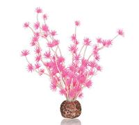 BiOrb - Palla per bonsai, colore: Rosa