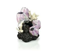 biOrb Samuel Baker Ornamento Rosa Barnacle Cluster, Piccolo