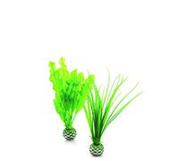 biOrb Set di Piante S Verde