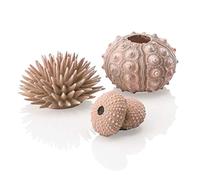 biOrb Set Riccio di Mare Naturale
