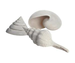 biOrb Shell Set 3 bianco
