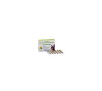 Bios Line BIOSLINE BUONERBE REGOLA FORTE 60 TAVOLETTE