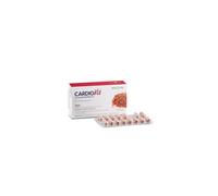 Bios Line Integratore Cardiovis Colesterolo – 30 compresse