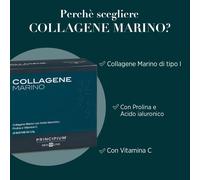 BIOSLINE PRINCIPIUM COLLAGENE MARINO 20 BUSTINE AC. IALURONICO, PROLINA, VIT C