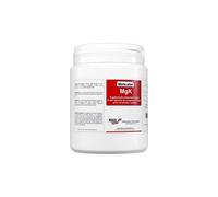 BIOTEKNA Melcalin MGK 28 buste stick
