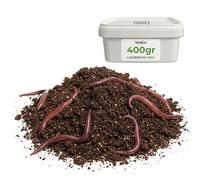 Biotica Lombrichi Rossi Californiani Vivi 400g per Compostaggio Domestico