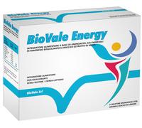 BIOVALE ENERGY 14BUST