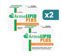 Bipacco 2x60 compresse Armolipid Plus controllo colesterolo e trigliceridi