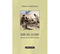 Bir el Gobi! Storia di un'altra Italia