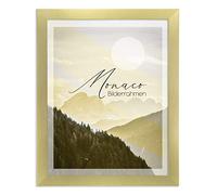 BIRAPA Monaco - Cornice portafoto 70 x 90 cm oro spazzolato, effetto metallo, in alluminio spazzolato, cornice per poster, cornice intercambiabile