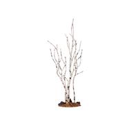 Birch Tree Medium Cod. 34967