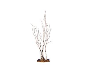 Birch Tree Medium Cod. 34967