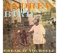 Bird Andrew - Break It Yourself