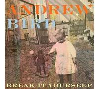 Bird, Andrew - Break It Yourself
